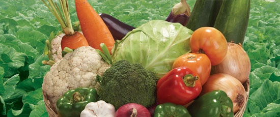 WEB CATEGORY VEGETABLES